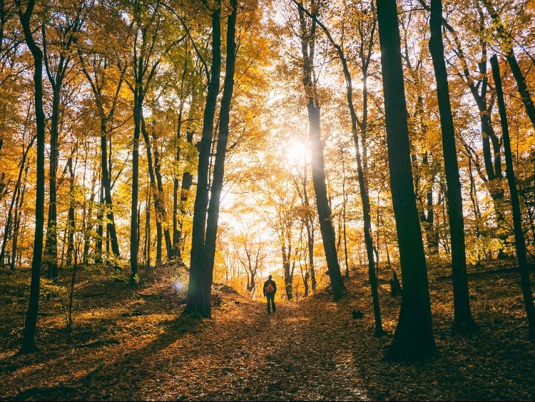 Viajes baratos en otoño
