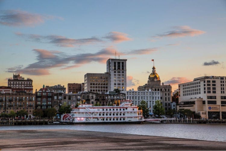 Savannah in Winter