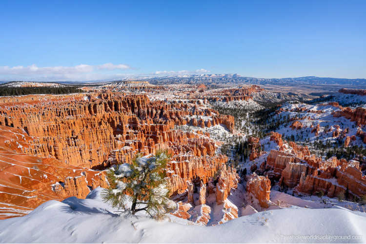 Things to do in Utah in winter