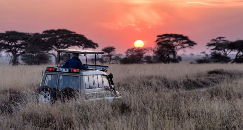 7 Mejores Safaris de África para Amantes de los Animales