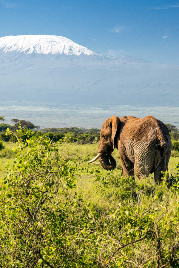 los mejores lugares para hacer safari