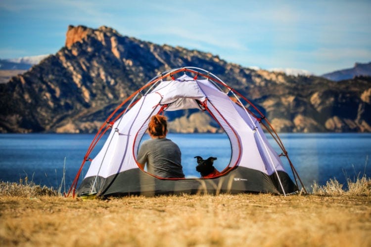 Campings en Cantabria que admiten perros 1