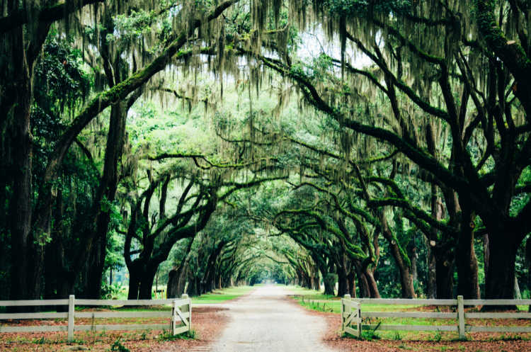 Savannah Best Affordable Weekend Getaways