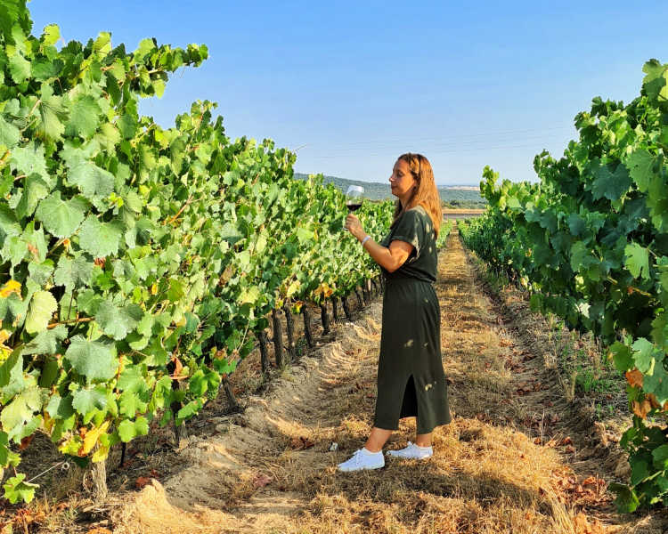 Cata de vinos de Alentejo en Casa de Urra