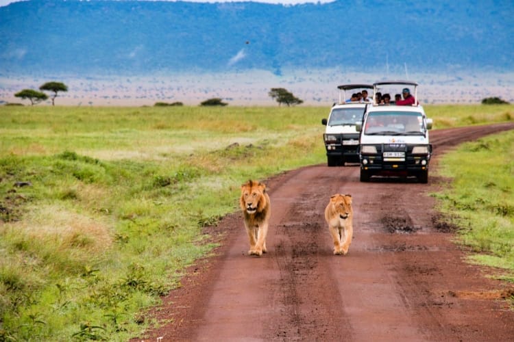 Exploring Kenya