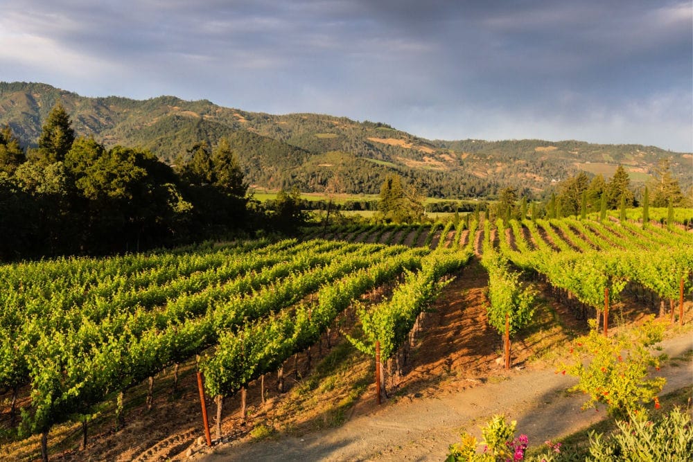 Calistoga romantic West Coast getaways