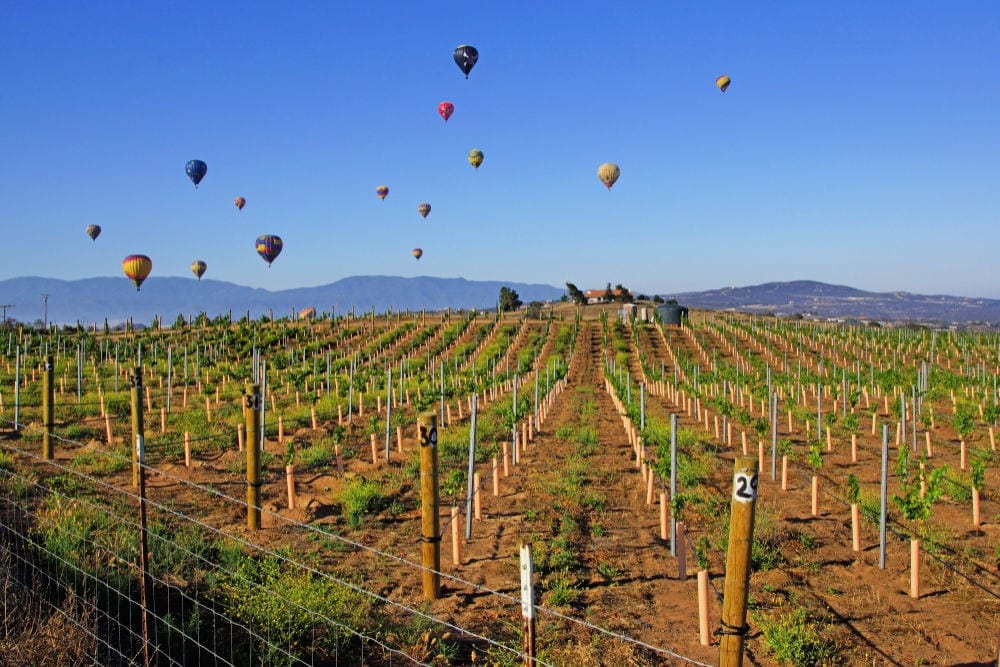 Romantic weekend in Temecula