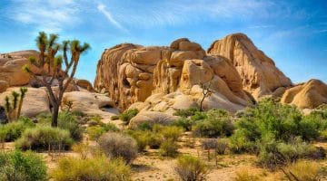 Hidden Valley is one of the best hiking trails in Joshua Tree