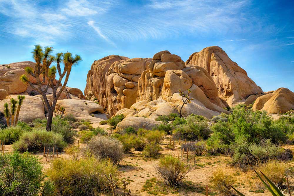 hidden valley joshua tree california