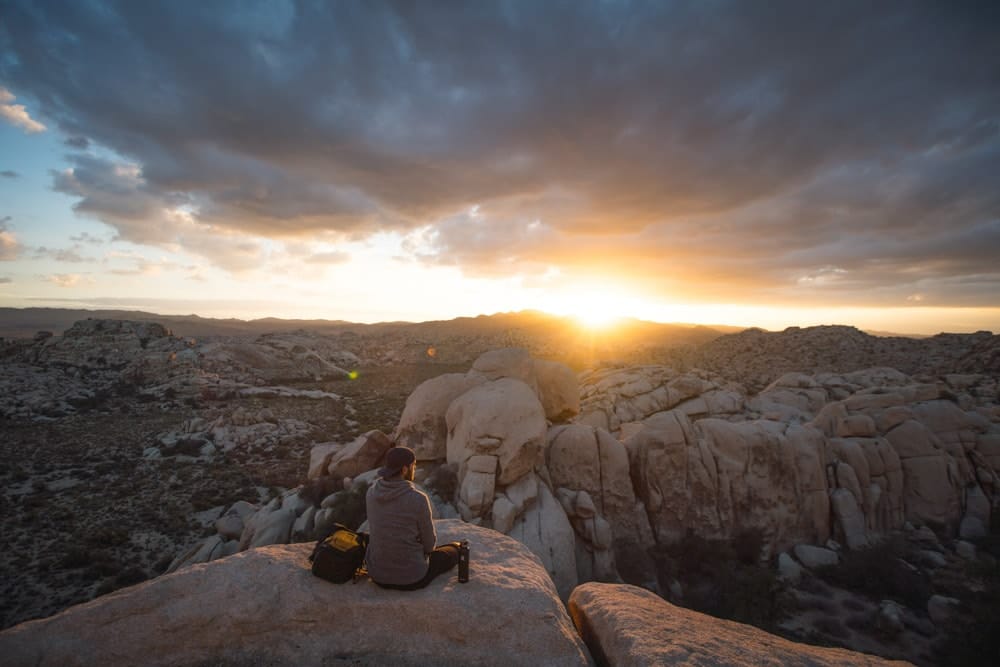 joshua tree sunset california