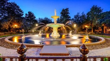 Savannah Ga in winter