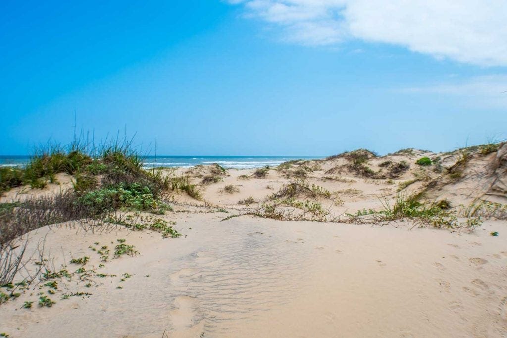 Islands in Texas for Spring Break: Sun, Sand, Seasonal Fun