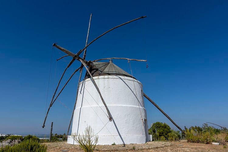 molino jerez