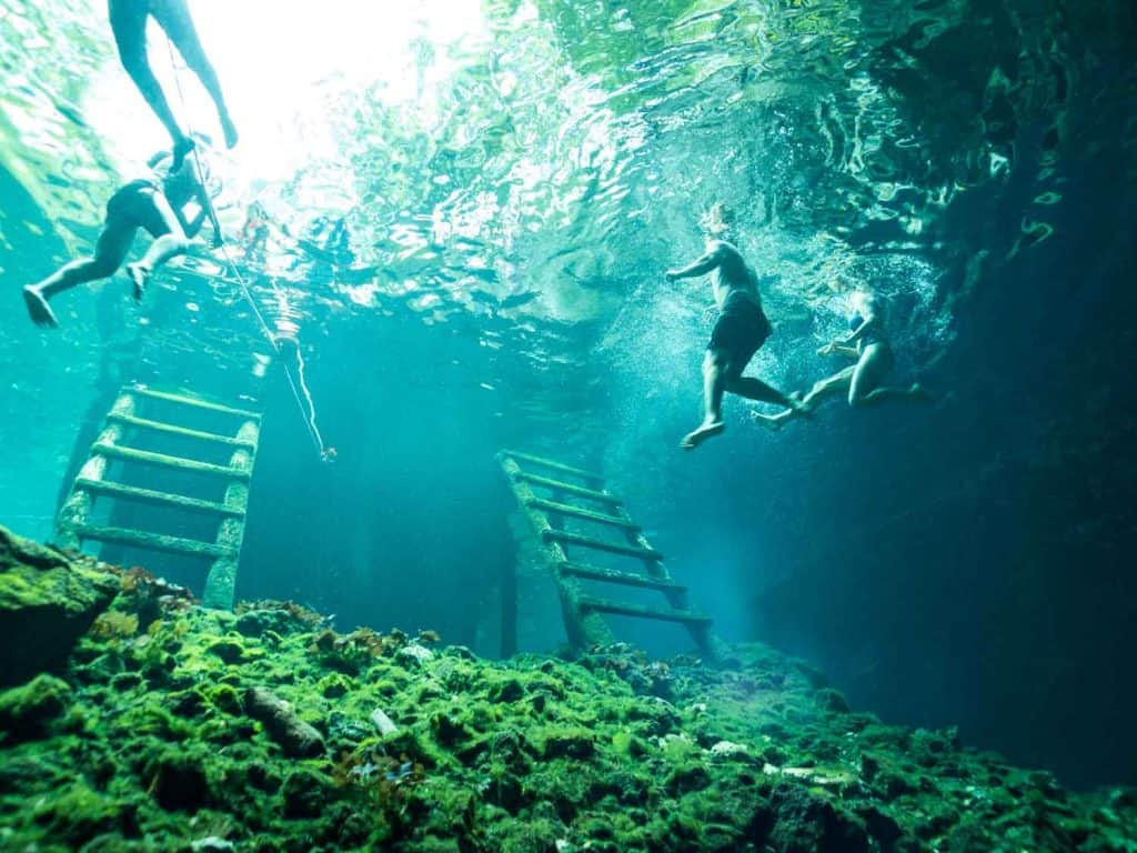 snorkeling Gran Cenote tulum mexico 1024x768