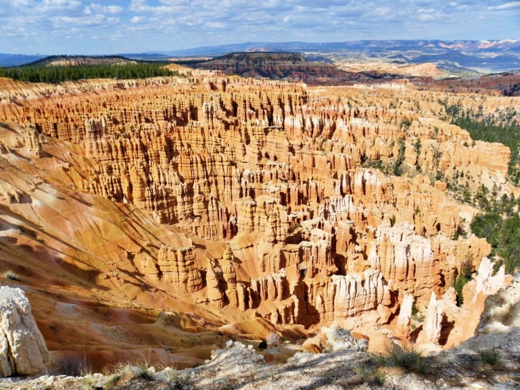 Bryce Canyon in spring