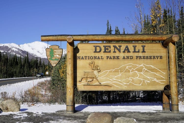 Denali in spring