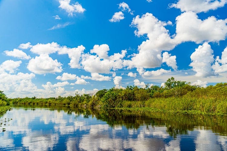 Everglades National Park in Spring
