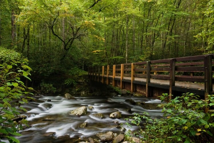 Great Smoky Mountains in spring