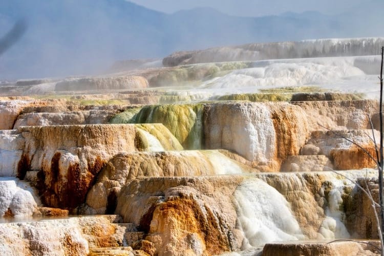 Yellowstone in spring