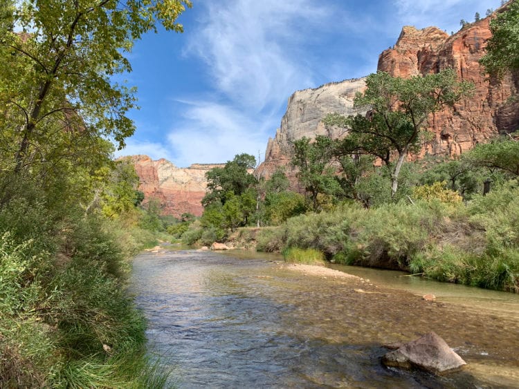 Zion in spring