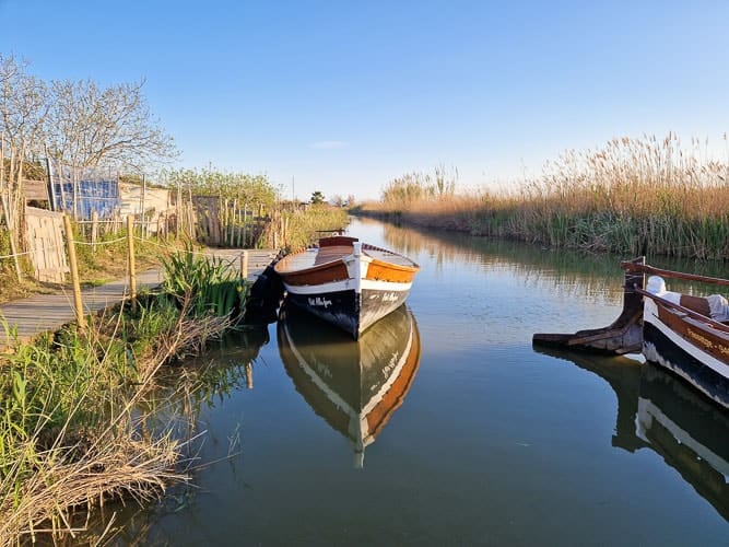 albufera valencia paseo en barca