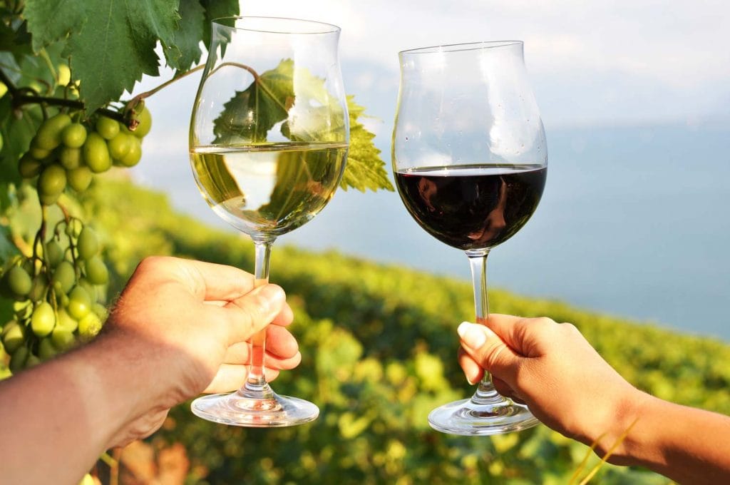 couple wine tasting in winery 1024x680