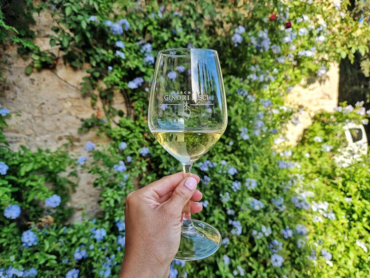 Cata de Vino en Querceto