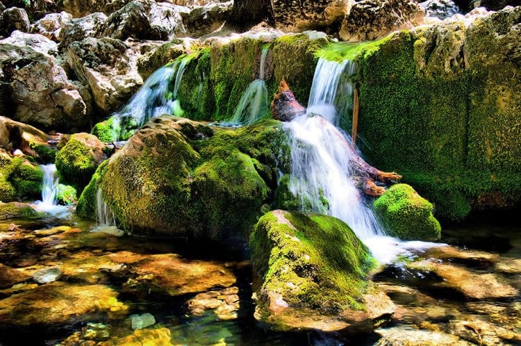 agua sierra de cazorla