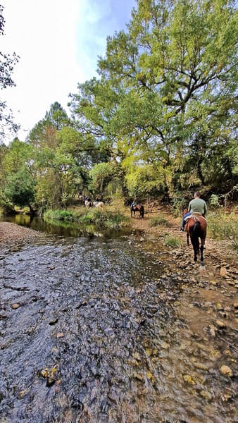 parque natural sierra de cazorla