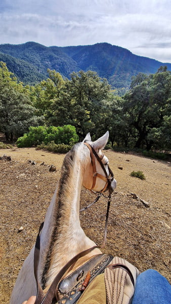 que ver en la sierra de cazorla segura y las villas