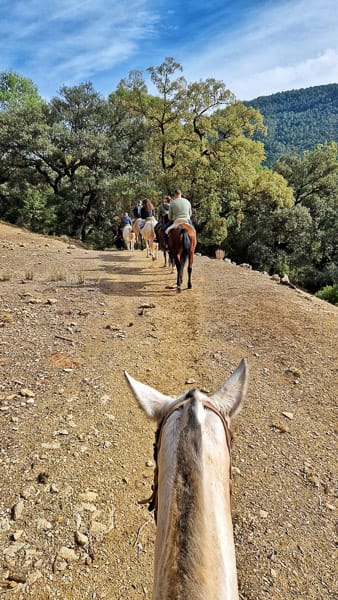 rutas sierra de Cazorla