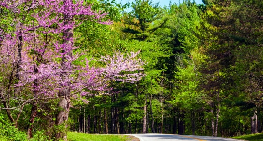 Fun Things to Do in the Buckeye State in Spring