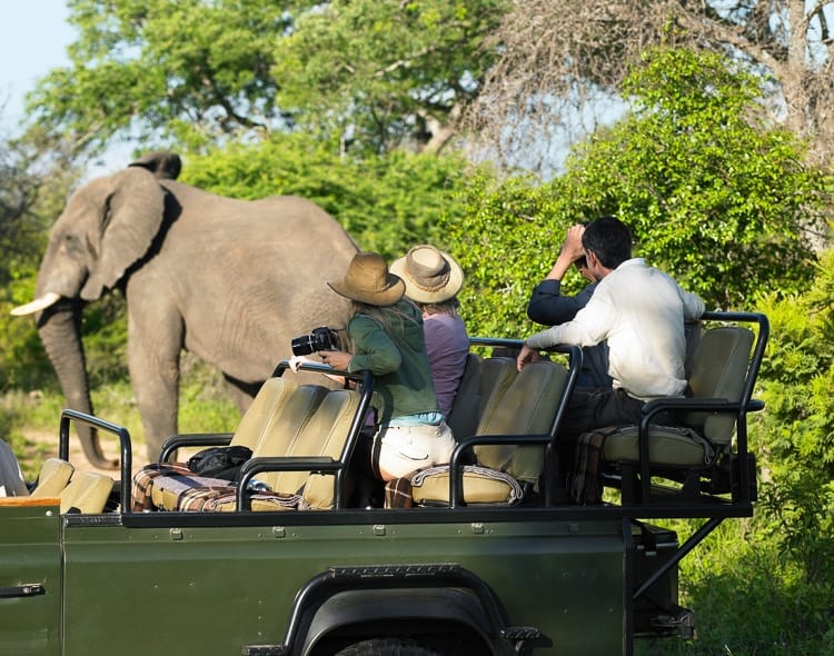 De donde viene la palabra safari