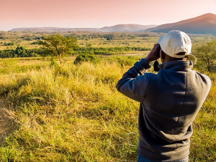 que es un safari fotografico