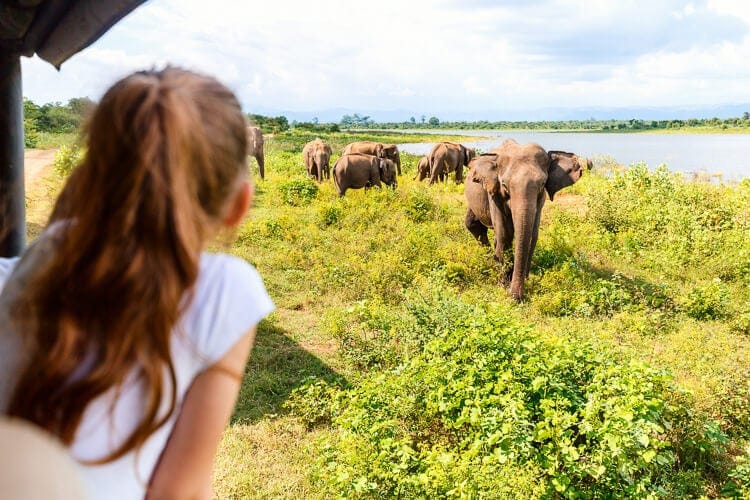 safari en Africa con nino