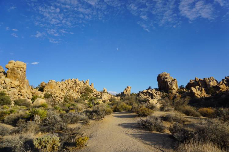 Hidden Valley Nature Trail
