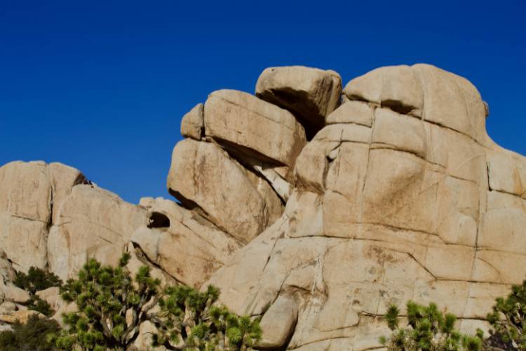 Joshua tree boulder