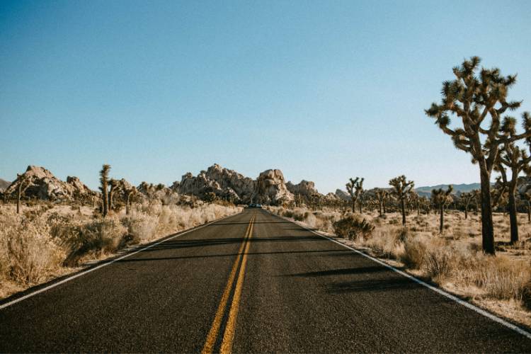 Road to Joshua Tree national Park
