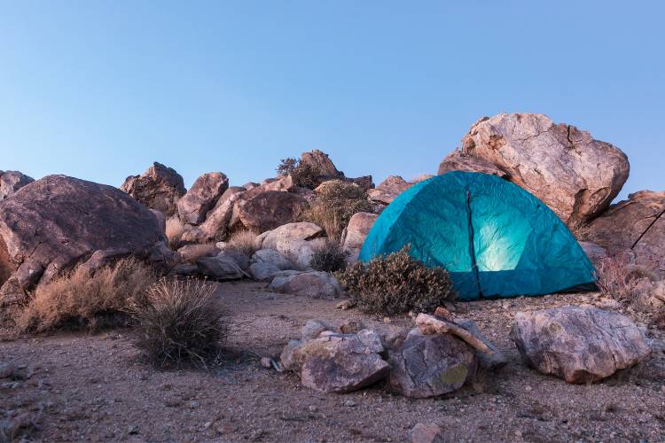 camping at Joshua Tree