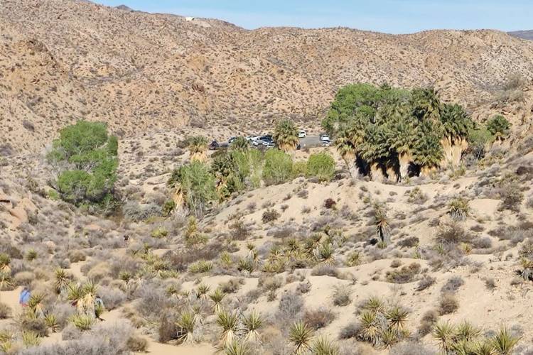 cottonwood spring trail