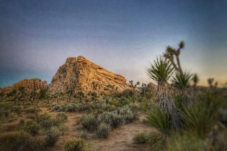 hidden vaalley joshua tree national park