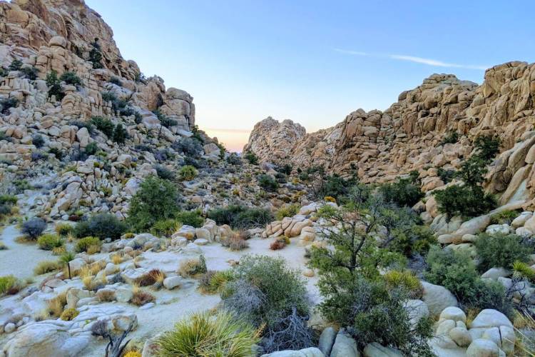 hidden valley joshua tree
