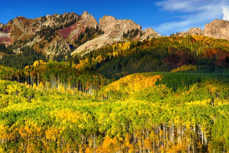 kebler pass fall evening