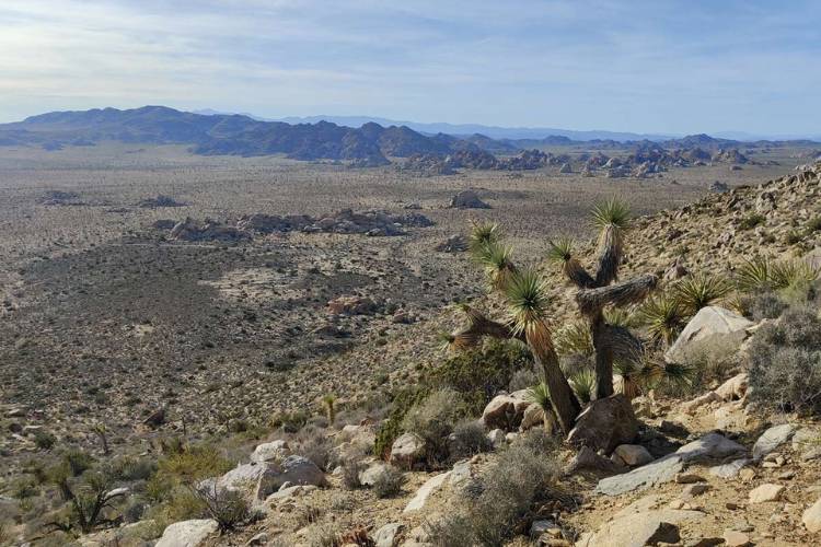 ryan mountain trail