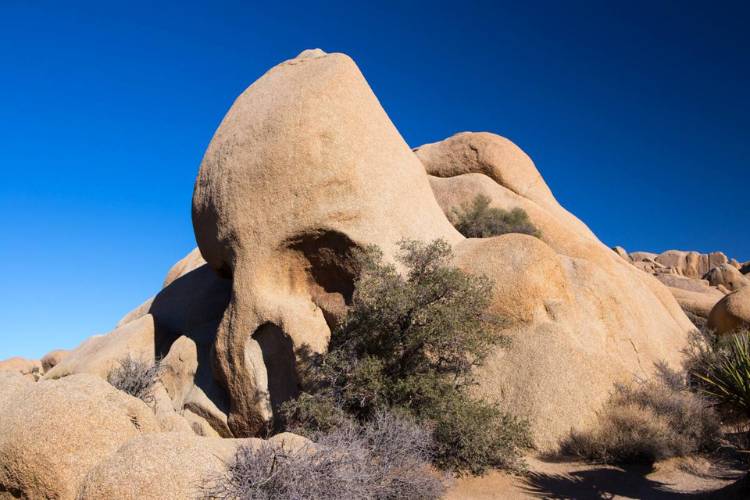skull rock