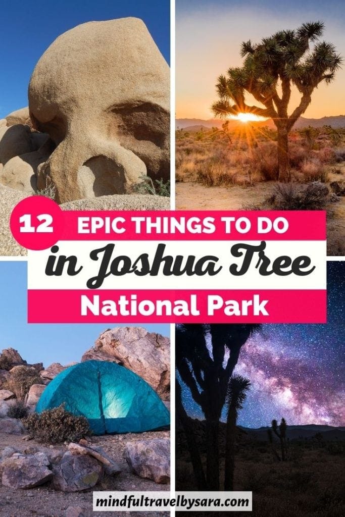 12 Epic things to do in Joshua Tree national park