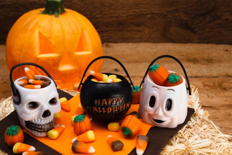 trick or treat halloween treats