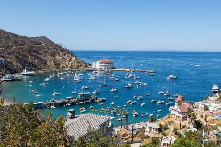 Avalon Harbor Santa Catalina Island