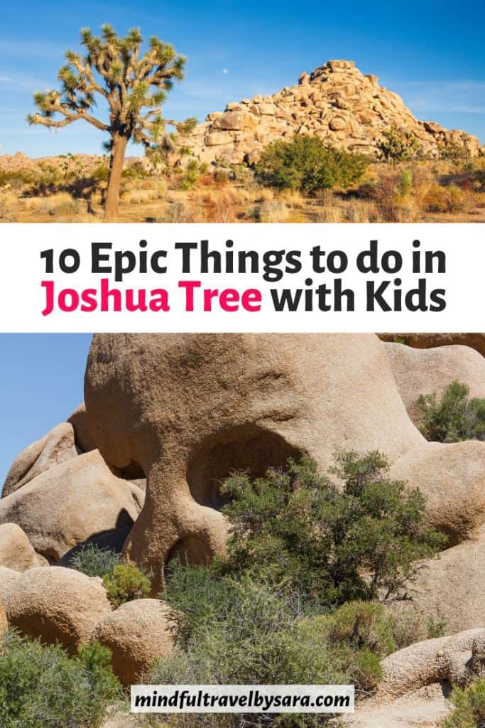Epic Things to do in Joshua Tree with Kids 683x1024