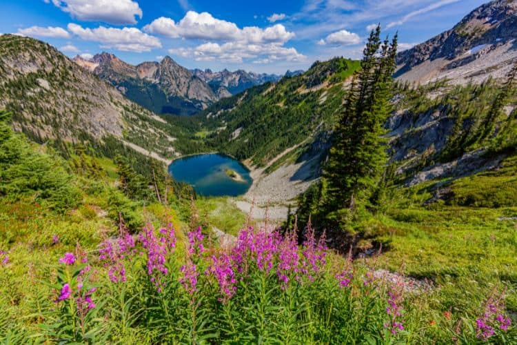 Heather Maple Pass Loop Trail